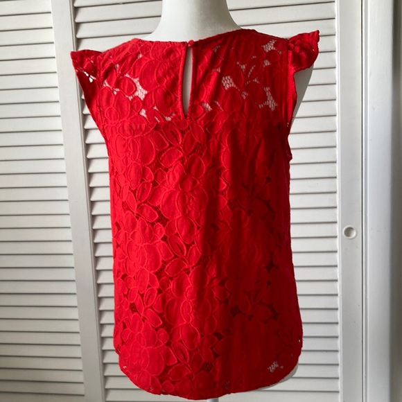 Monteau Embroidered Top - Picture 3 of 5